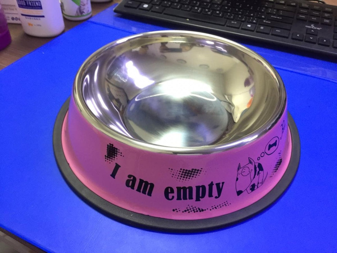Stainless Steel Pet Bowl Assorted Color small - Shopivet.com