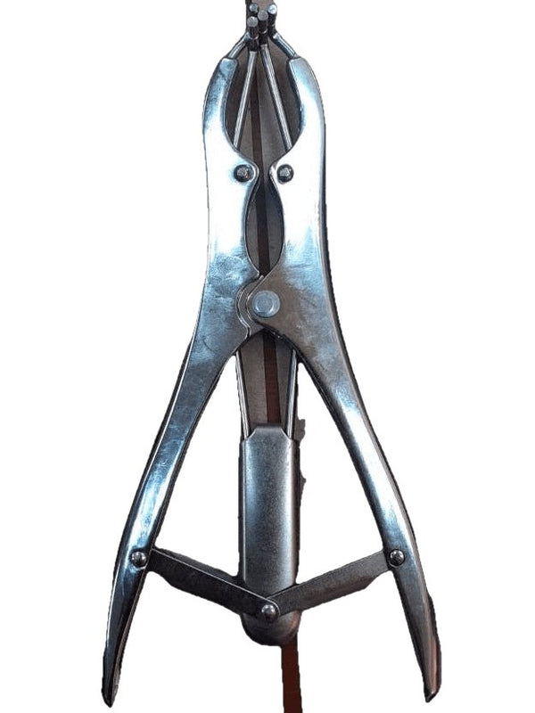 Steel Castration tool - Shopivet.com