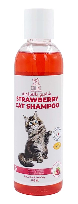 STRAWBERRY CAT SHAMPOO 200ML - Shopivet.com