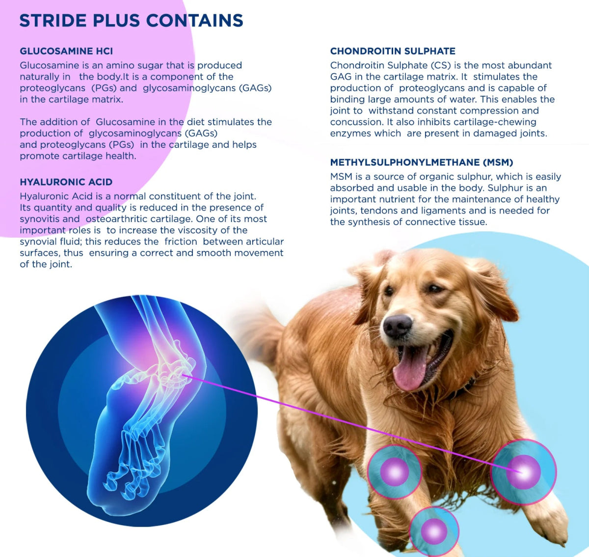 STRIDE PLUS Dogs 200ml - Shopivet.com