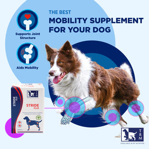 STRIDE PLUS Dogs 200ml - Shopivet.com