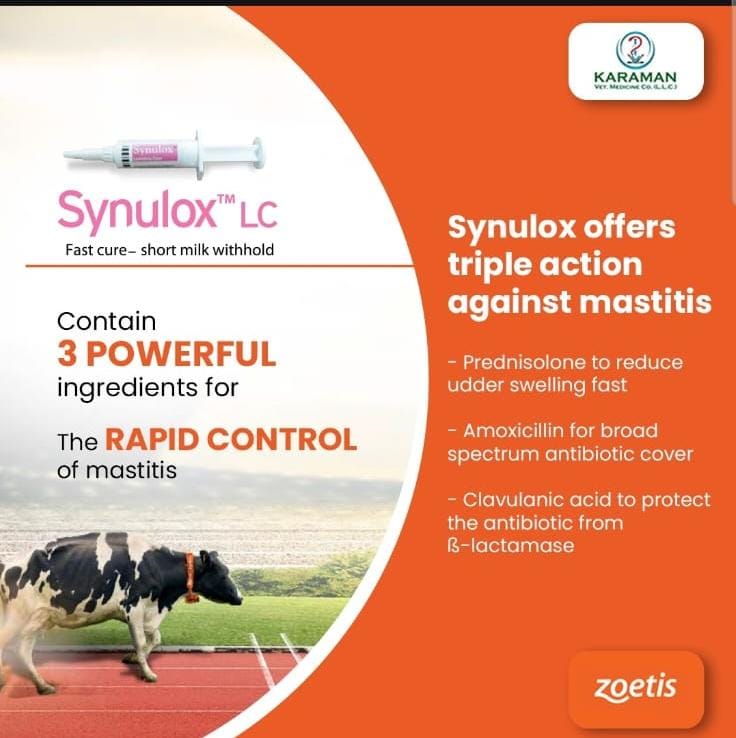 Synulox™ LC - Shopivet.com