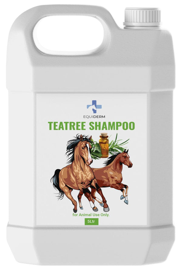 TEATREE SHAMPOO NEW 5L - Shopivet.com