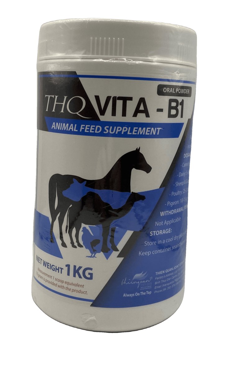 THQ Vita -B1 1 KG - Shopivet.com