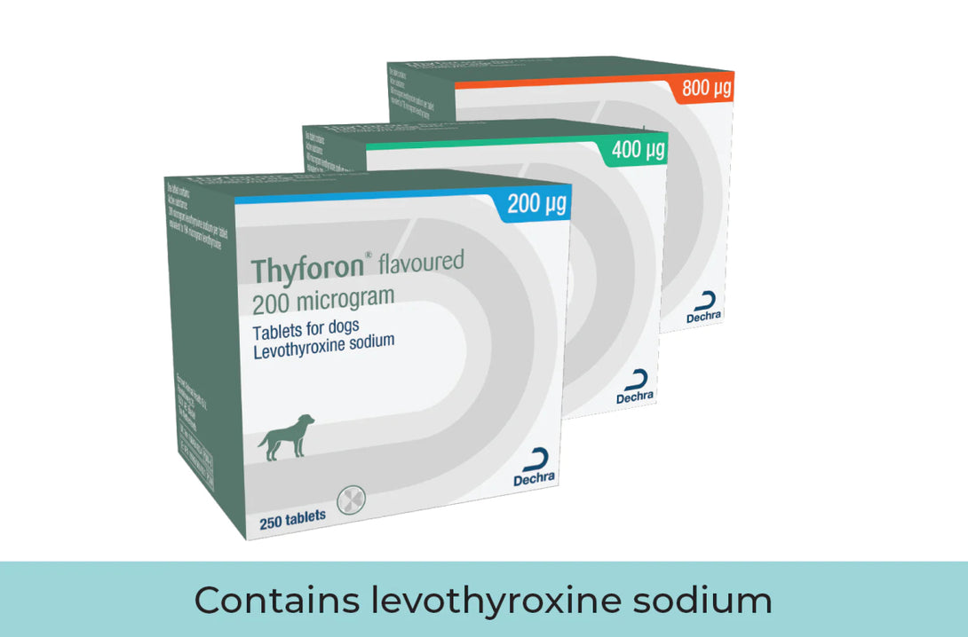 Thyforon Flavoured Tablets 200mcg 250 Tabs - Shopivet.com