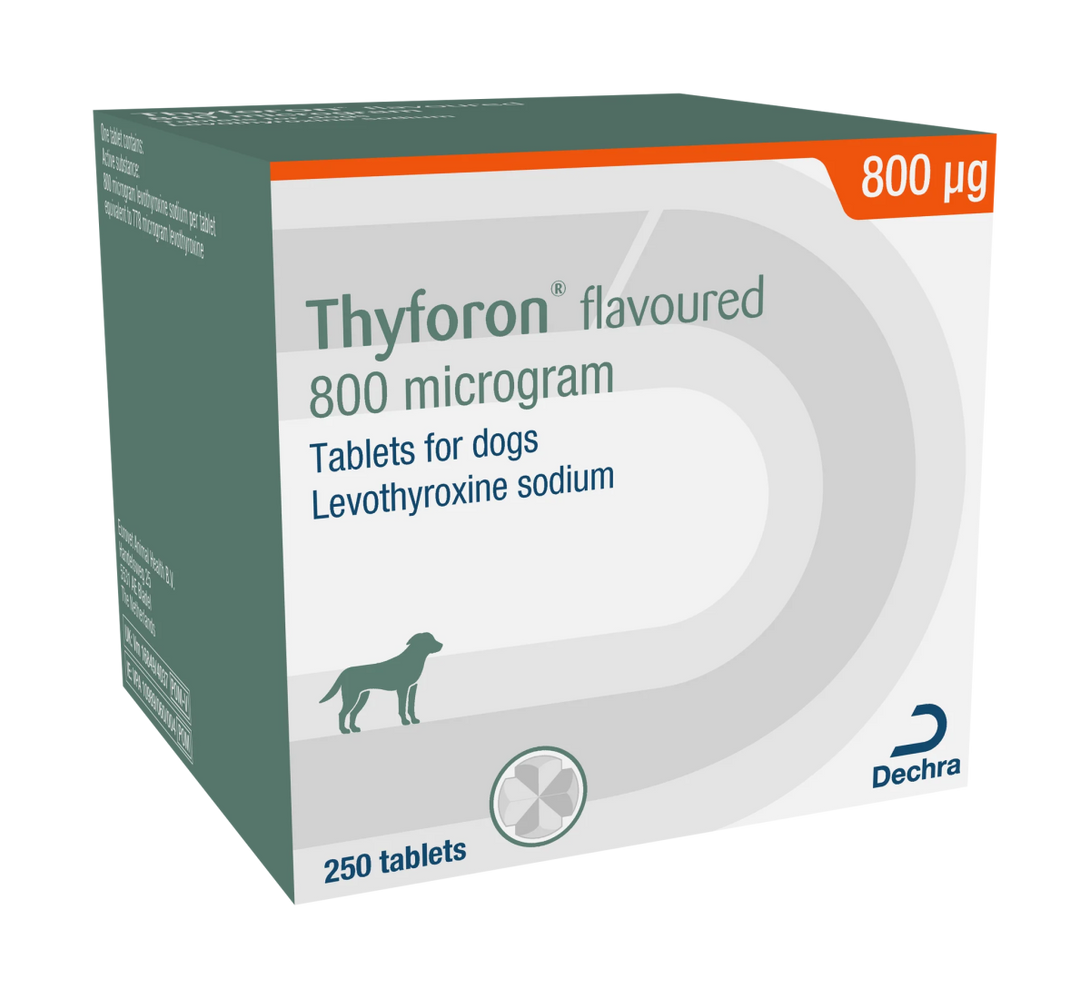 Thyforon Flavoured Tablets 800mcg 250 Tabs - Shopivet.com