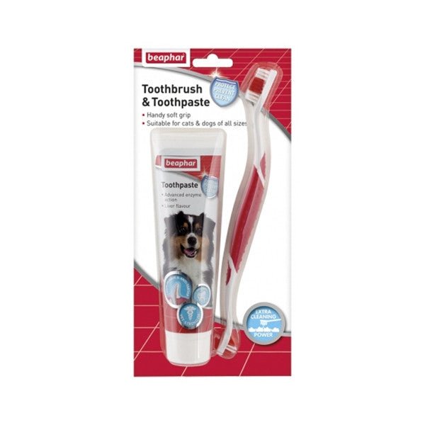 TOOTHBRUSH & TOOTHPASTE - COMBIPACK - Shopivet.com