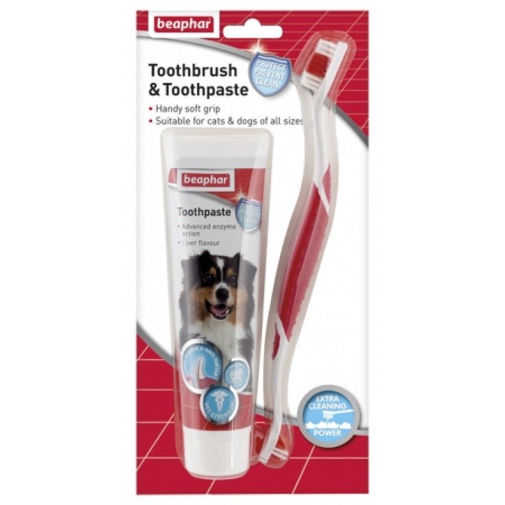 TOOTHBRUSH & TOOTHPASTE - COMBIPACK - Shopivet.com