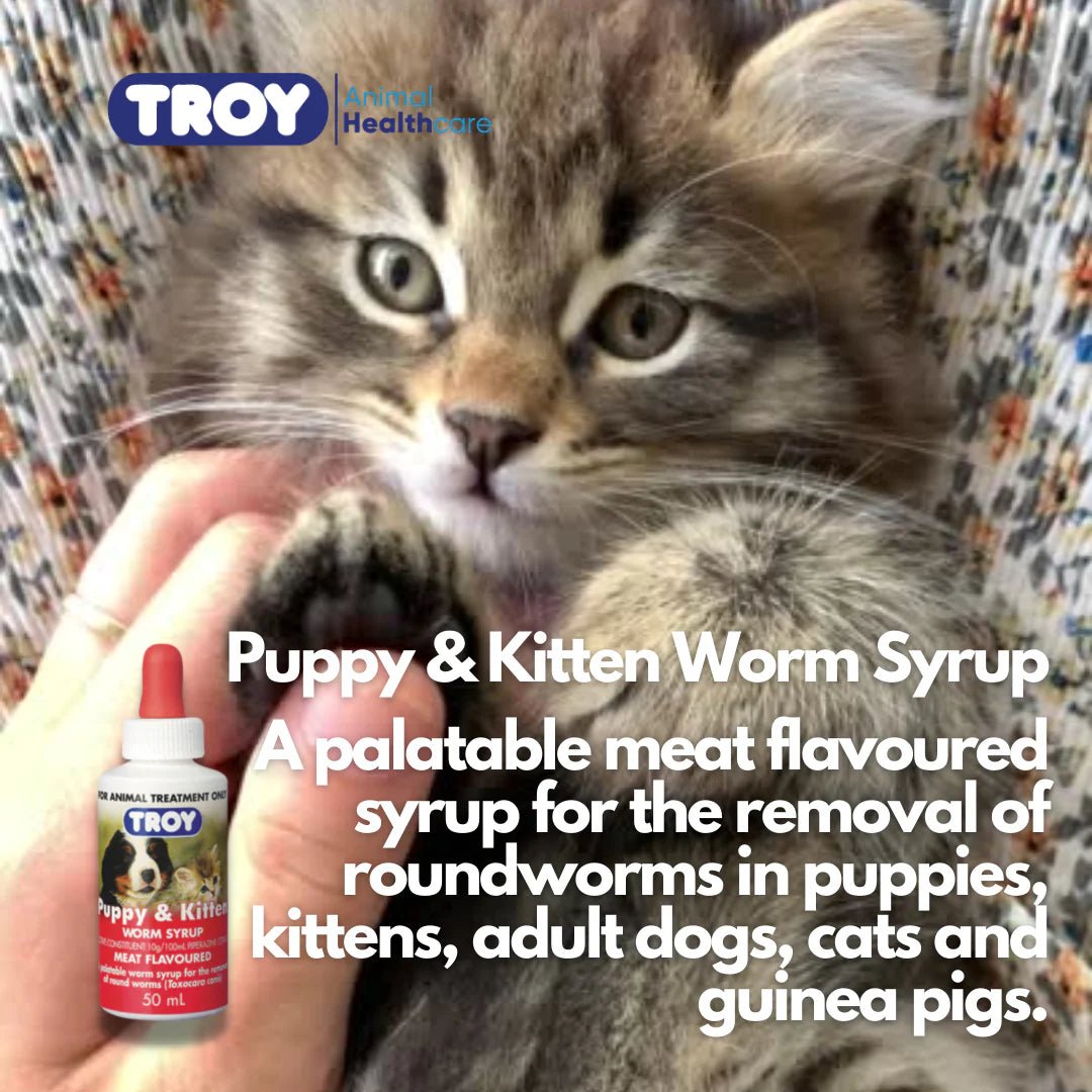 Troy Puppy and Kitten Worm Syrup 50ml - Shopivet.com