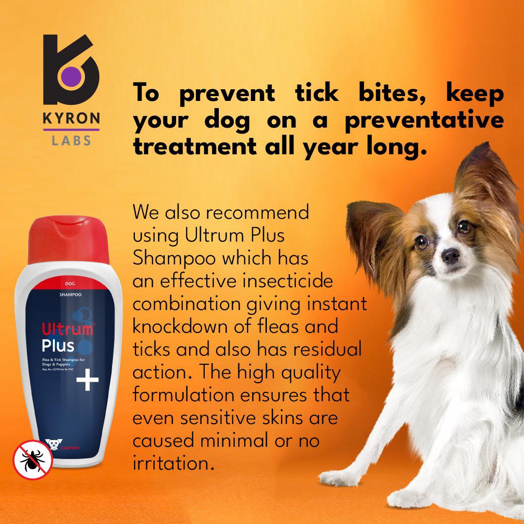 Ultrum® Plus Shampoo - Shopivet.com