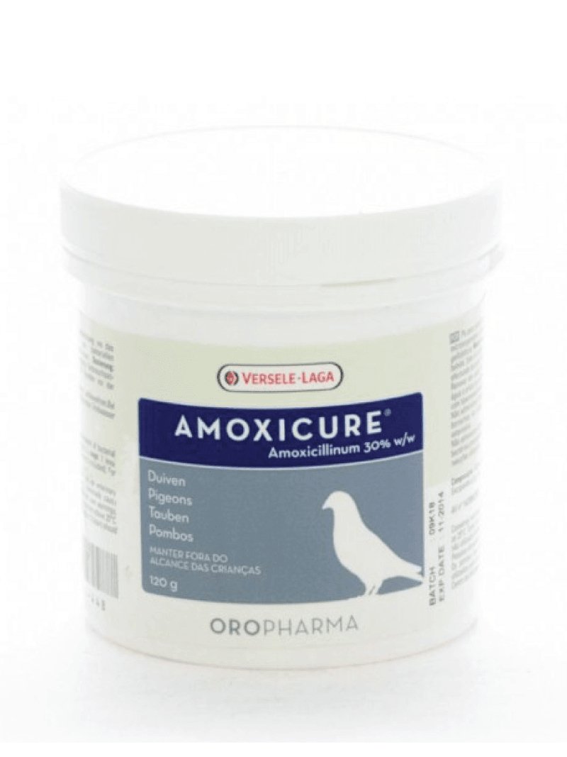 Versele-Laga Amoxicure 30% 120gm - Shopivet.com