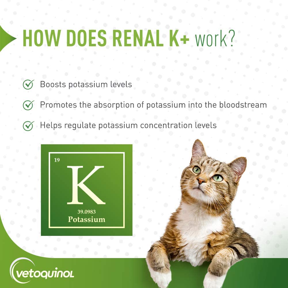 Vetoquinol Renal K+ (Potassium Gluconate) Supplement Gel for Dogs and Cats 142g - Shopivet.com
