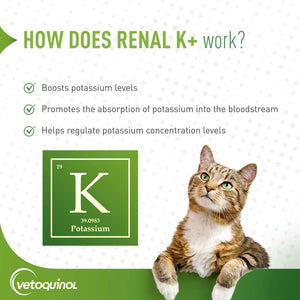 Vetoquinol Renal K+ (Potassium Gluconate) Supplement Gel for Dogs and Cats 142g - Shopivet.com