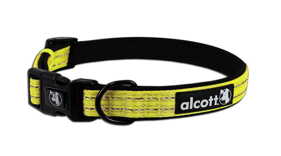 Visibility Collar - Medium - Shopivet.com