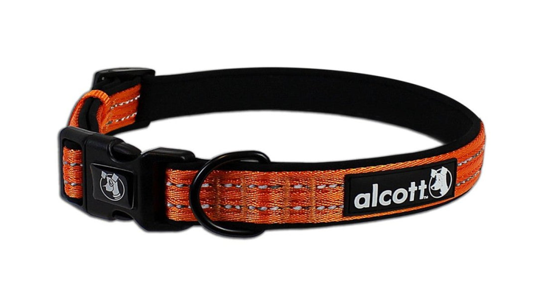 Visibility Collar - Medium - Shopivet.com