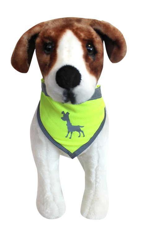 Visibility Dog Bandana - Shopivet.com