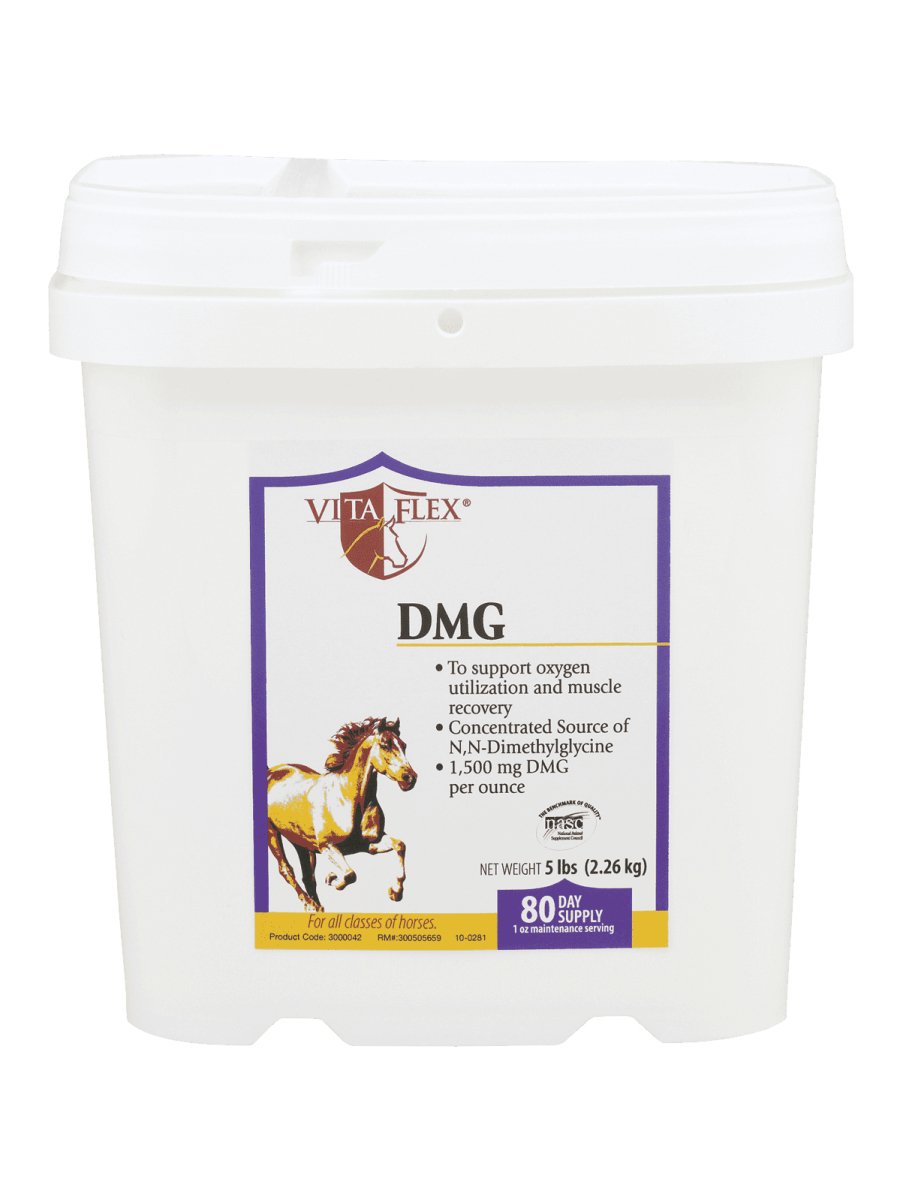 VITA FLEX DMG 1500mg 2.26 kg - Shopivet.com