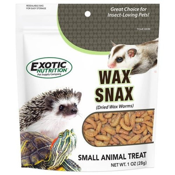 Wax Snax Dried Wax Worms 1 oz - Shopivet.com