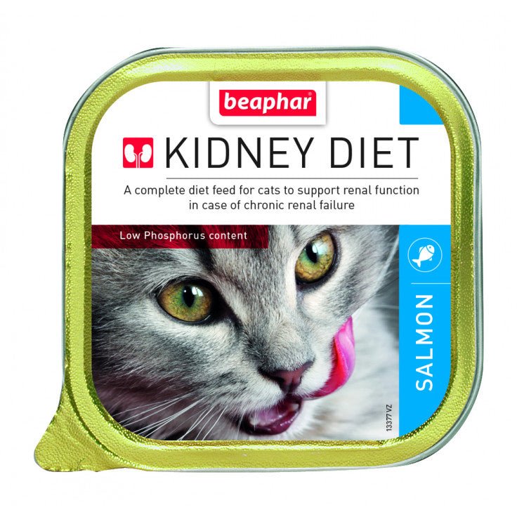 WET FOOD - KIDNEY/RENAL DIET SALMON(16PCS X 100G) - Shopivet.com