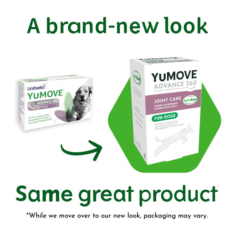 YUMOVE ADVANCE 360 FOR DOGS 60 TABLETS - Shopivet.com