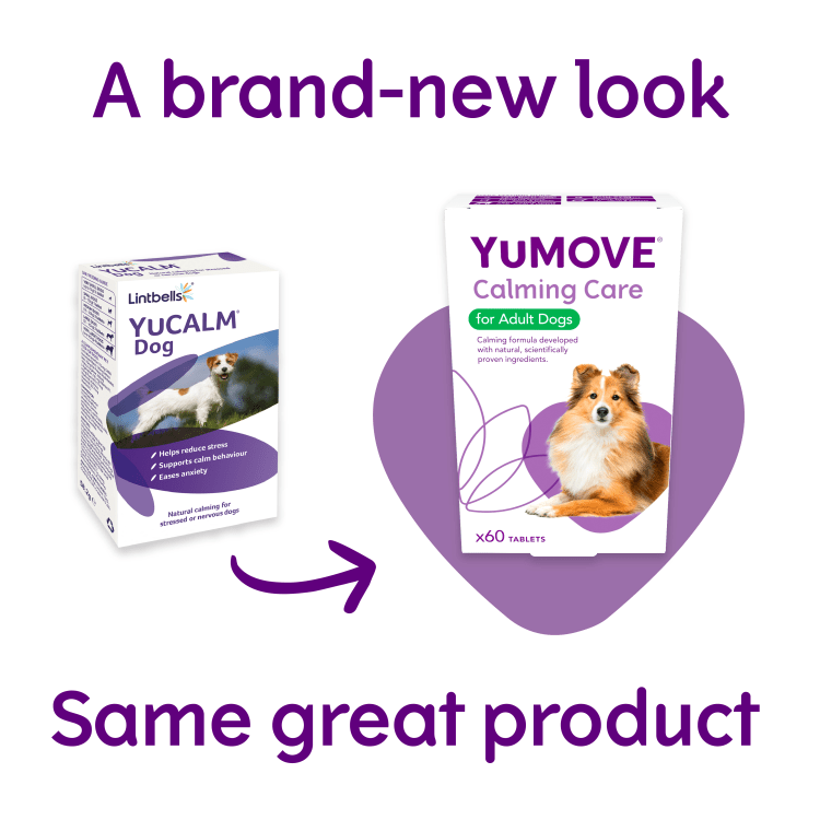 YuMOVE Calming Care for Adult Dogs 60 tabs - Shopivet.com