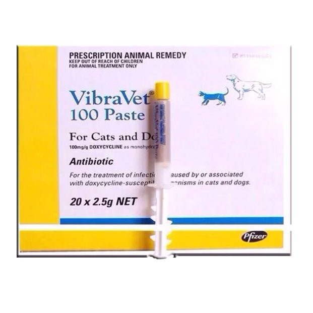 Zoetis VibraVet (Doxycycline 100mg/g) 1 syringe 2.5g - Shopivet.com