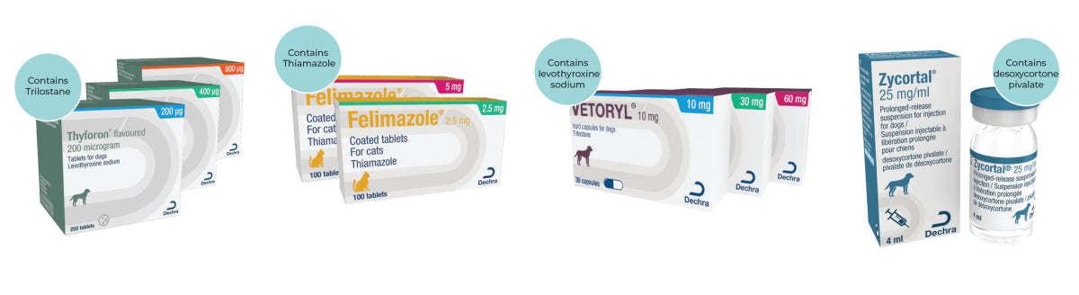 Zycortal® Suspension (desoxycortone pivalate) 4 ml - Shopivet.com
