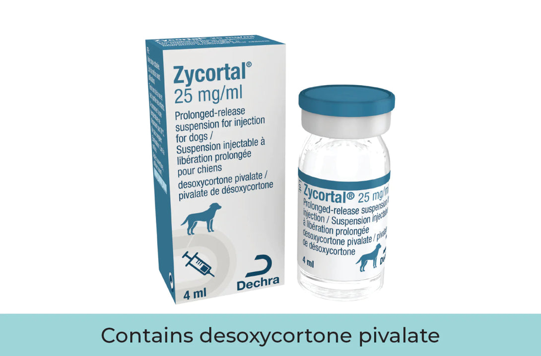 Zycortal® Suspension (desoxycortone pivalate) 4 ml - Shopivet.com